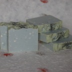 DSC_0146.JPG